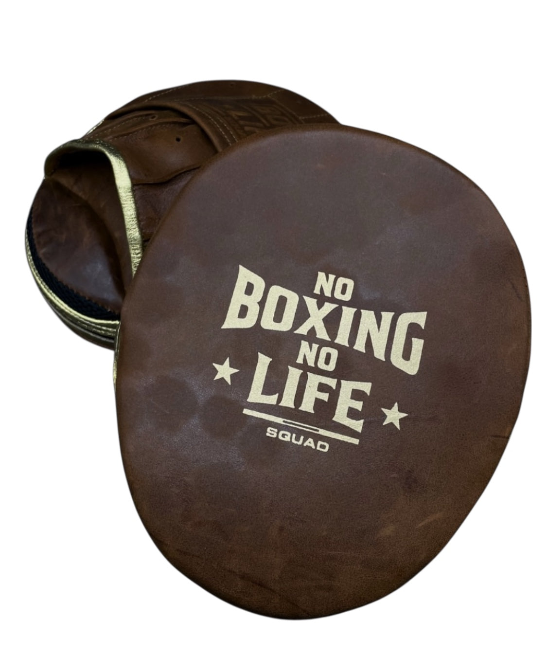 Pre-order CANELO logo mitts