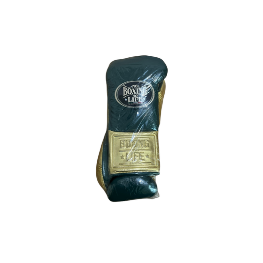 予約販売｜Ryder戦 使用モデル