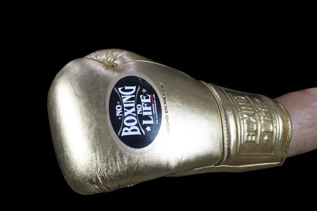 【予約販売】10ozグローブ