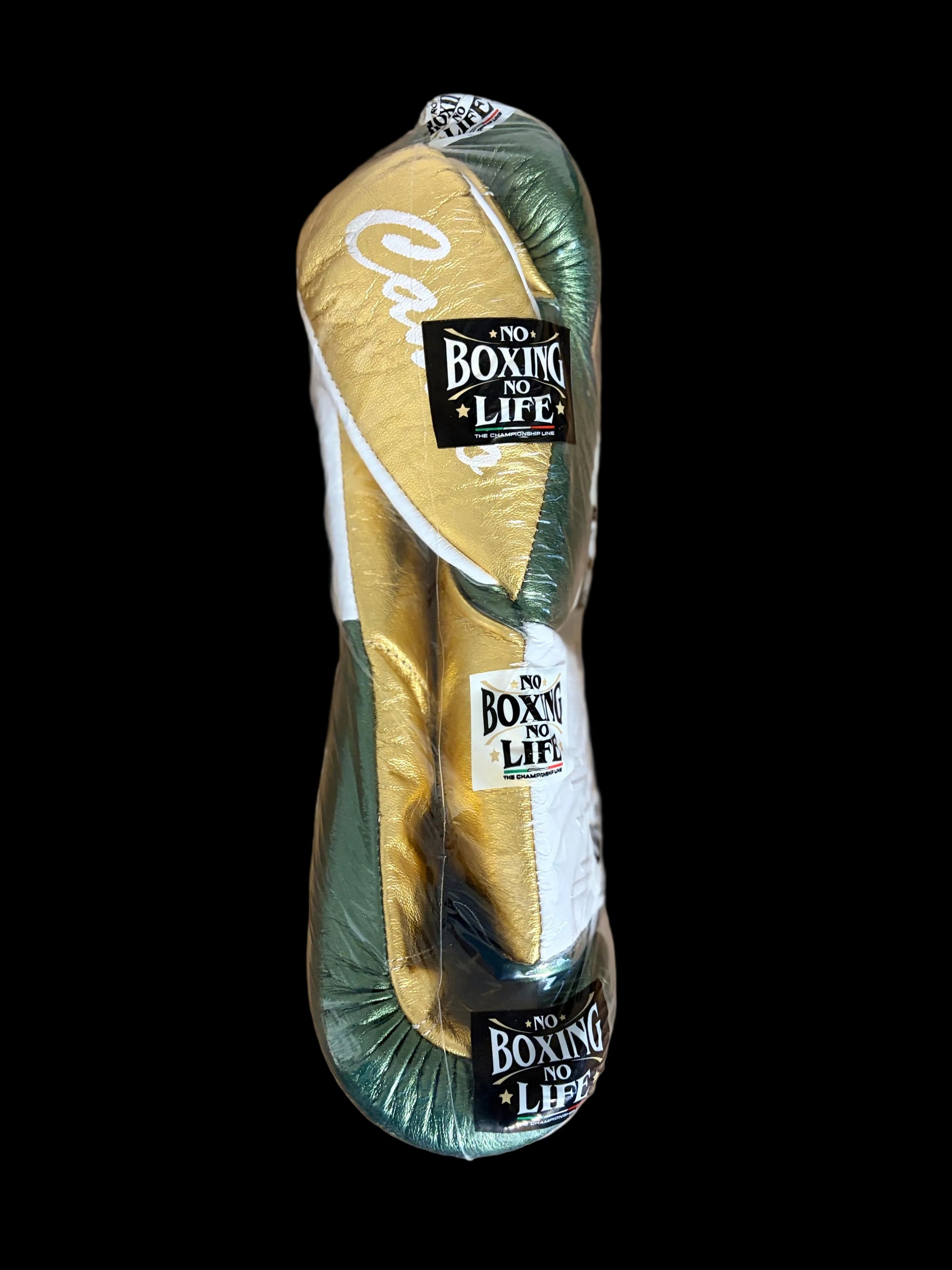 NBNL ボクシンググローブ 10oz｜カネロロゴカラー | NO BOXING NO LIFE
