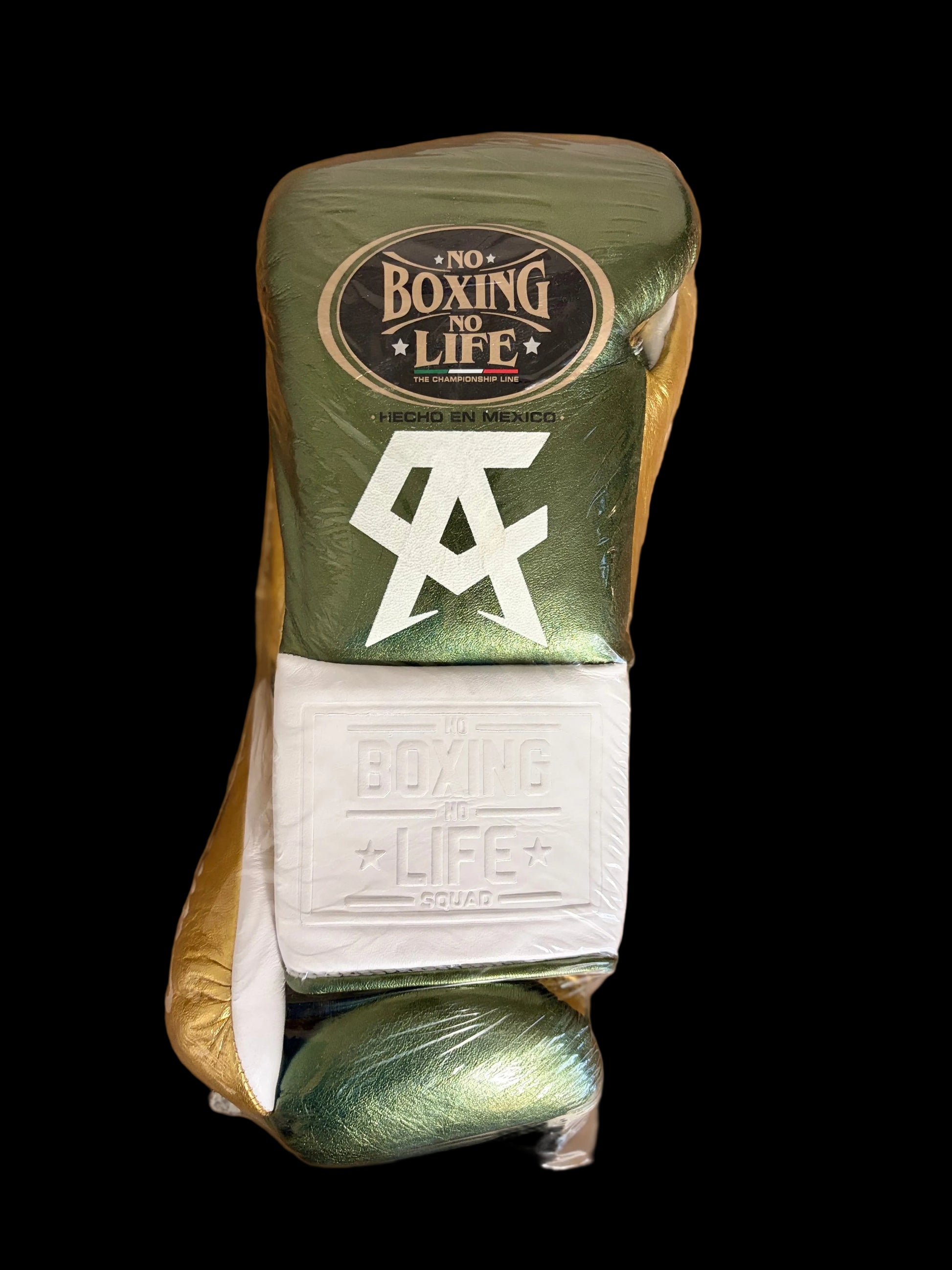 NBNL ボクシンググローブ 10oz｜カネロロゴカラー | NO BOXING NO LIFE