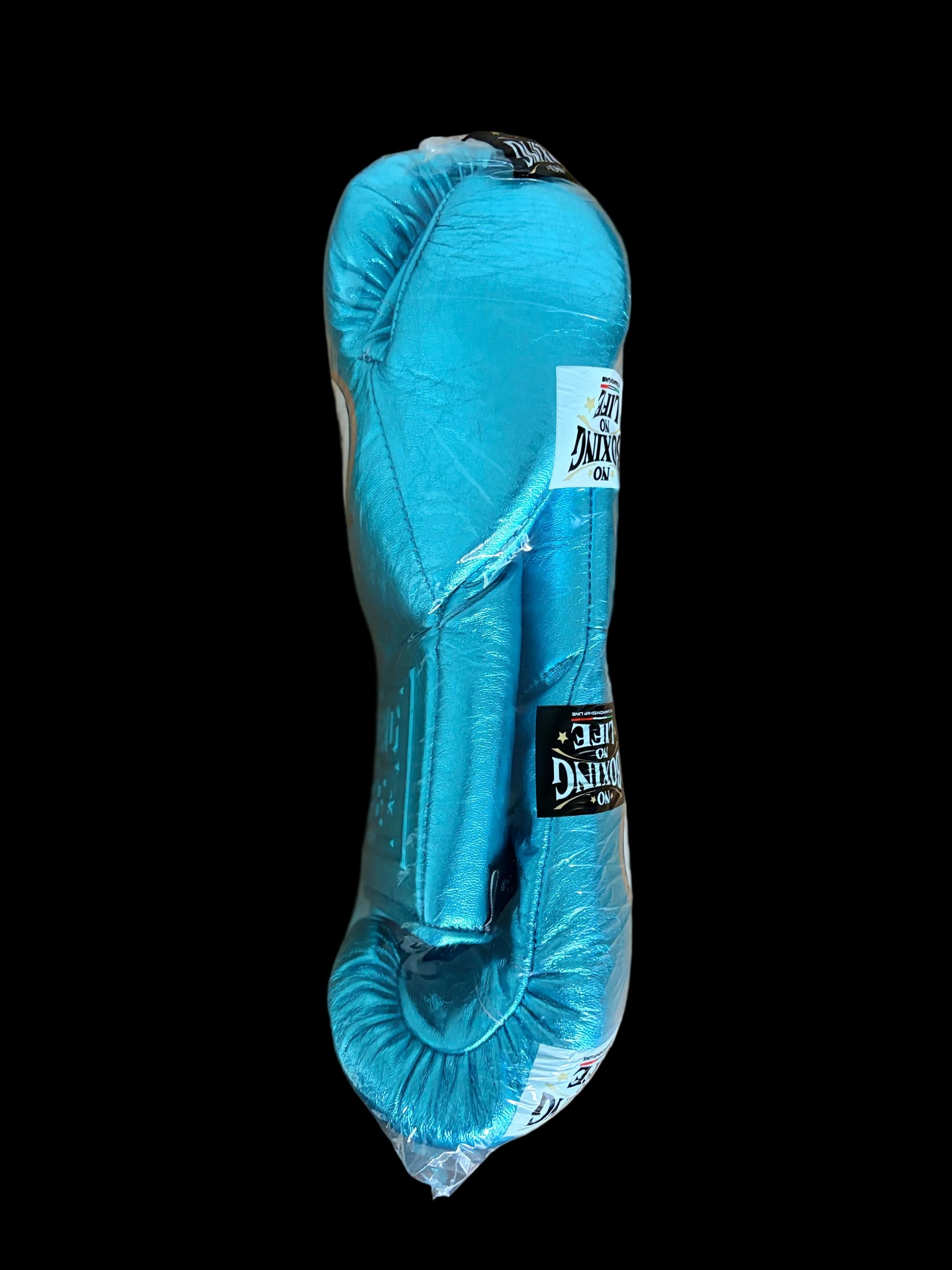 NBNL ボクシンググローブ 10oz｜アクア | NO BOXING NO LIFE