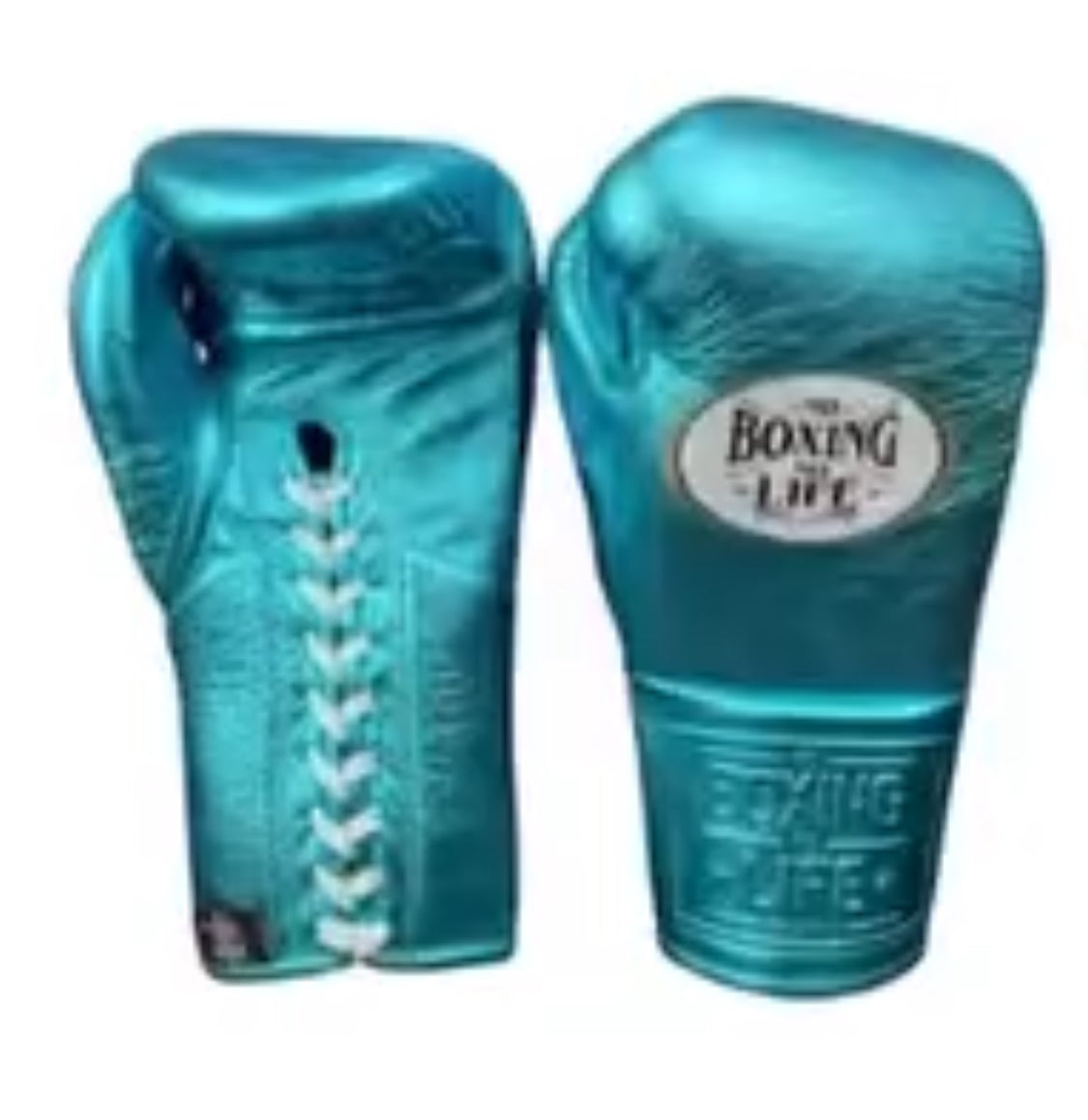 NO BOXING NO LIFE JAPAN